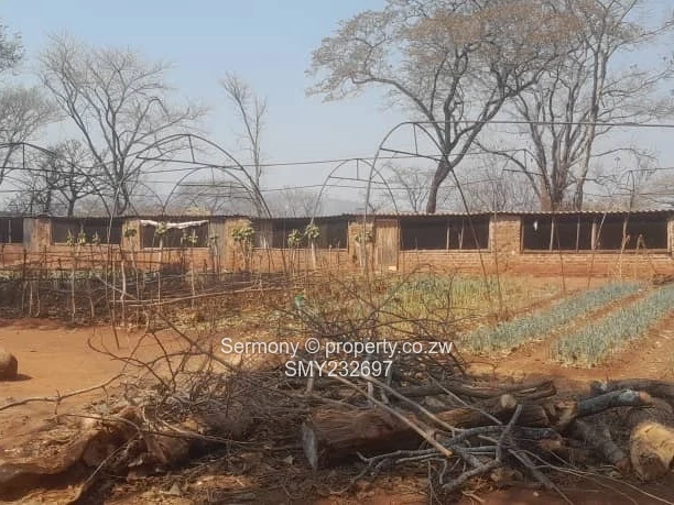 5.63ha Christon Bank Homestead - Poultry & Solar