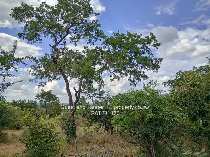Low-Density Residential Stand for Sale – Near Zambezi River & Victoria Falls