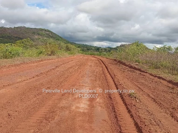 Stands 5km from pa Nyika, just near Pambudzi. 