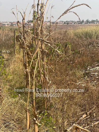 Damofalls Commercial Land