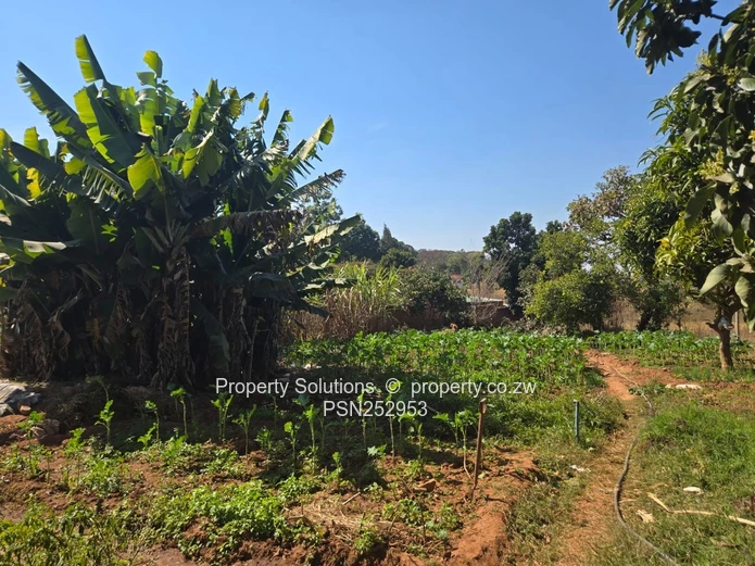 Partly Finished 5-Bed Shawasha Home with Borehole (Sole Mandate)