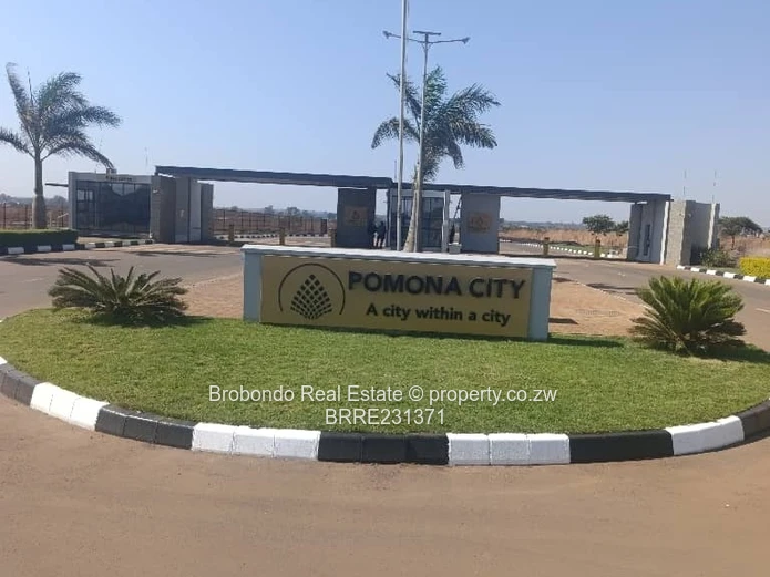 Pomona stands for sale!