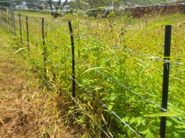 Farm & Agricultural Land