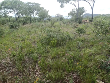 Farm & Agricultural Land