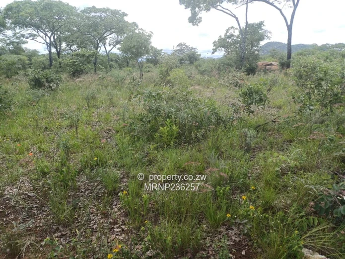 Headlands EagleNest Plot for sale (Sole Mandate)