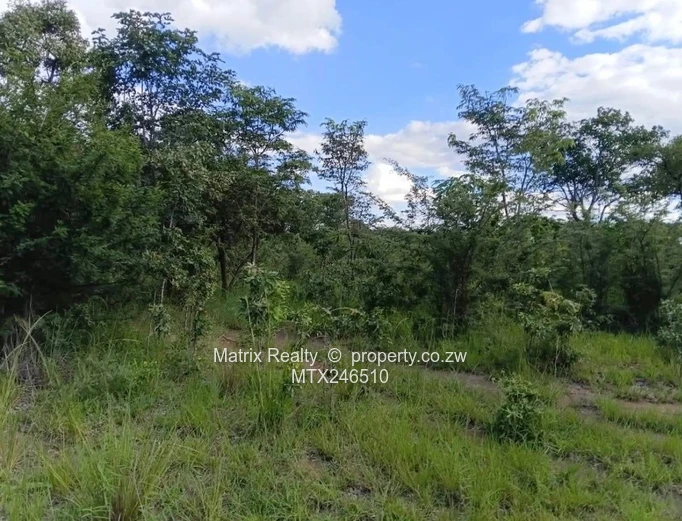 Expansive Farm Land for Sale in Chivhu