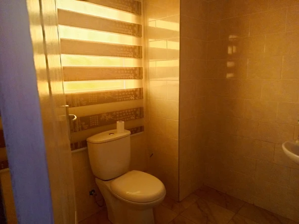 Farm & Agricultural Land