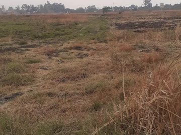 Commercial & Industrial Land