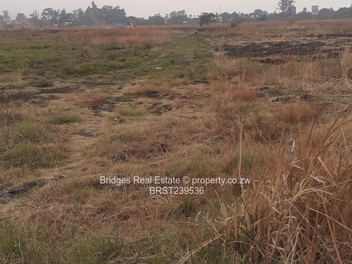 Meet the future,today! The richest sq mile in Harare.