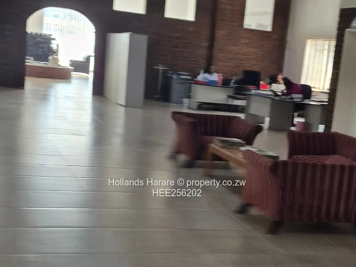 Massive Property In Willowvale