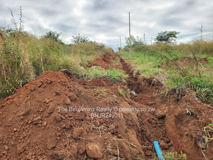 500 square metre stands Bindura