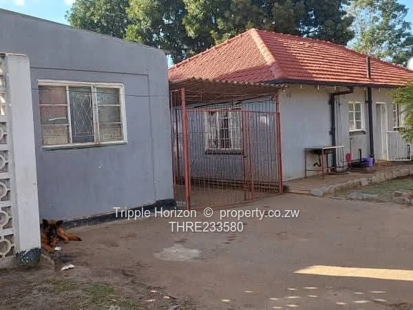 Meyrick park house for sale