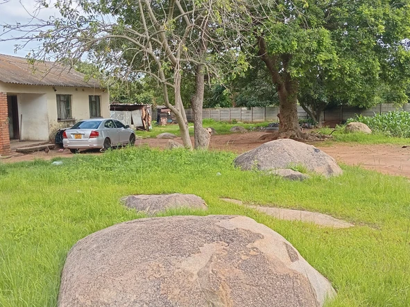 Stands & Residential Land