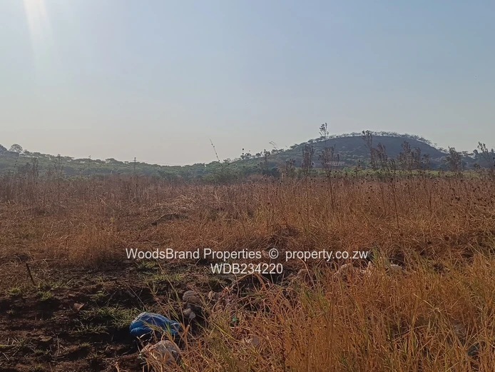 Tynwald South Land For Sale