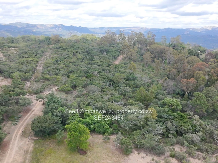 Residential Stand for Sale in Nyanga