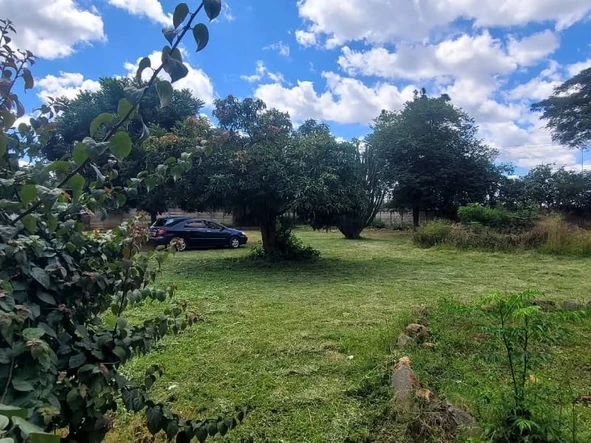 Commercial & Industrial Land