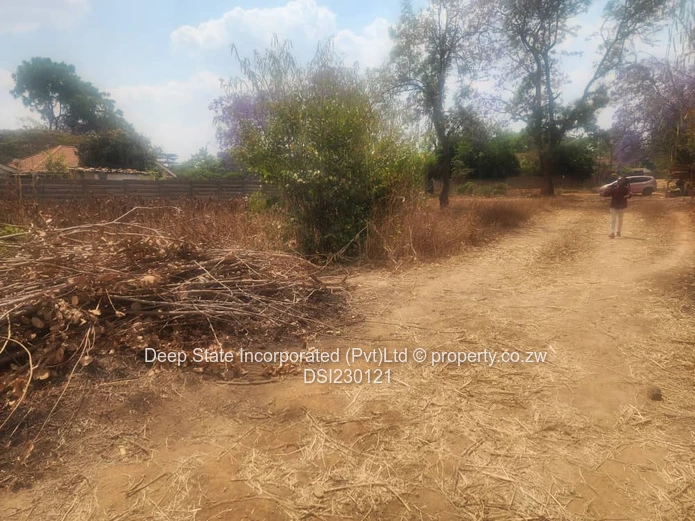 Malbereign stand for sale (Sole Mandate)