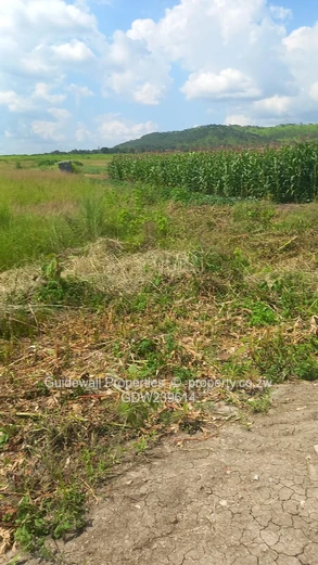 Stand for sale in Haydon Park