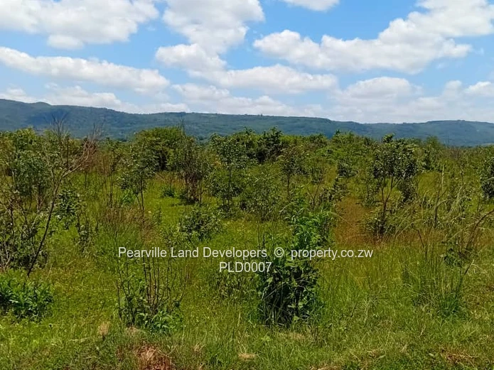 Stands 5km from pa Nyika, just near Pambudzi. 