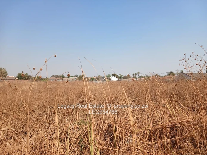 2.3ha Marlborough Land — Subdividable with Main Road Frontage (Sole Mandate)