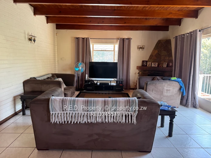 Business and Executive