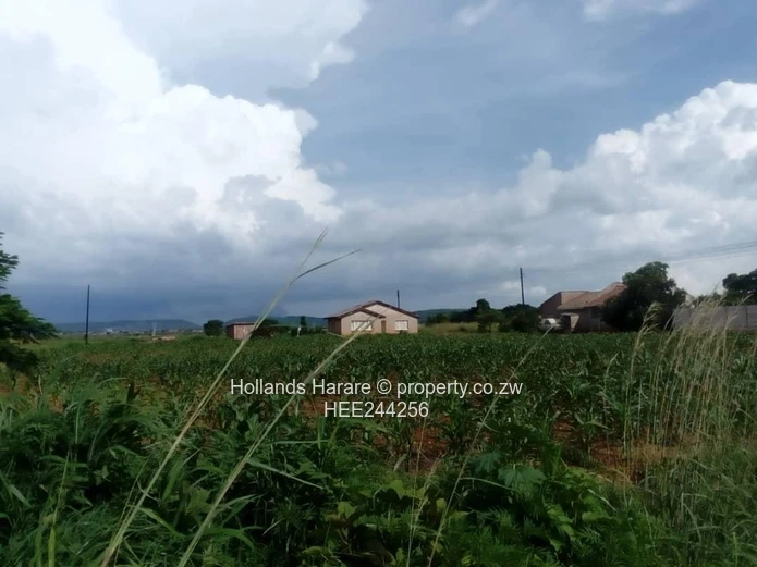 Stand For Sale In Norton (Sole Mandate)