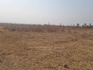 Farm & Agricultural Land