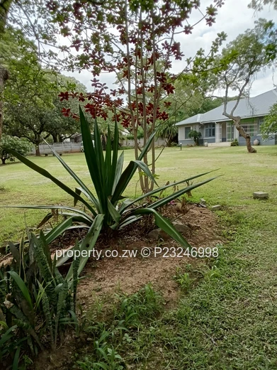 1 hectare property development site (Sole Mandate)