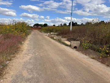 Stands & Residential Land