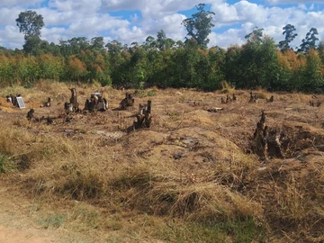 Commercial & Industrial Land