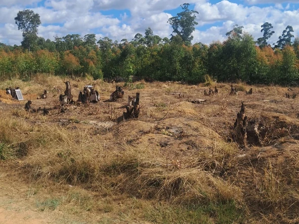 Commercial & Industrial Land