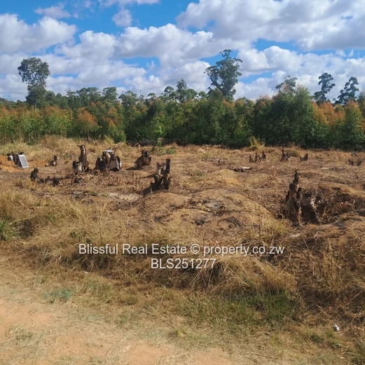 PRIME 2000m² SERVICE STATION STAND - HARARE-MUTARE Highway 