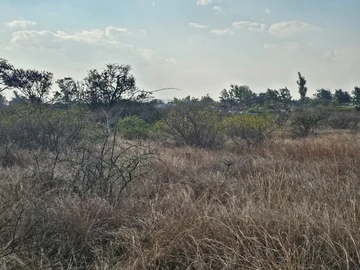Land
