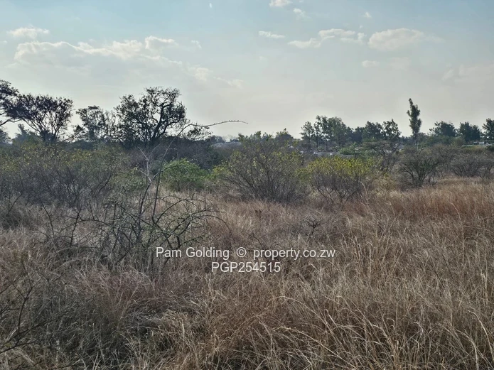 Burnside 1 Acre Residential Stand