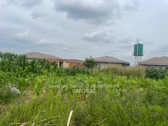 Residential Stand for Sale – Timire Ruwa (300sqm)