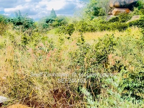 Hatfield 3,141m² Subdivision with Title Deeds land 