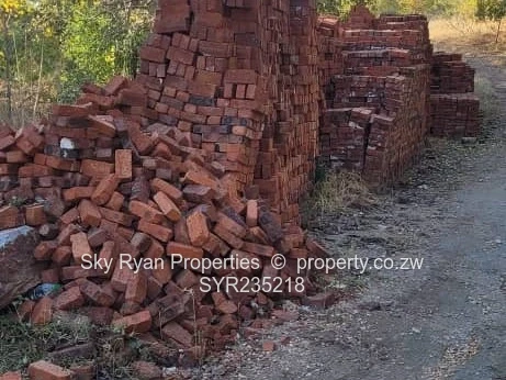 Kariba Stand For Sale