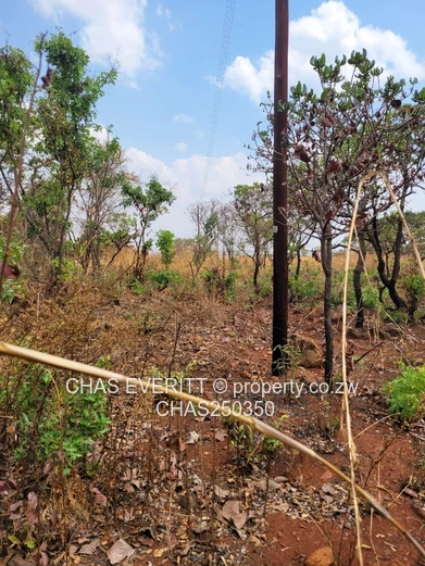 Glen Forest Land For Sale