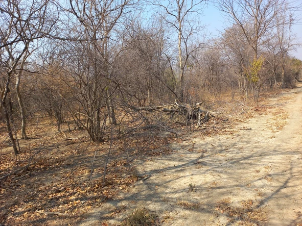 Farm & Agricultural Land