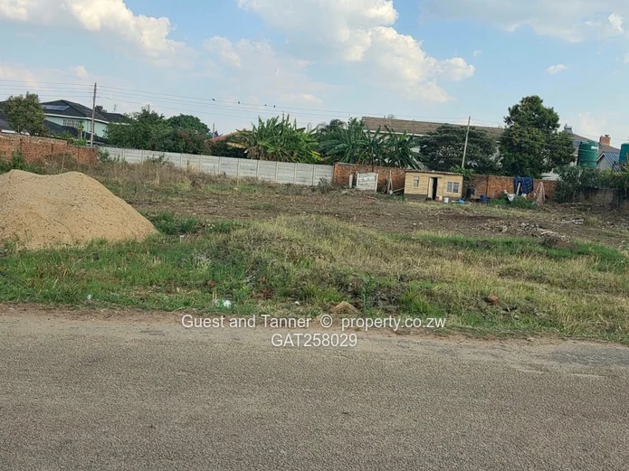 A Choice Of 2 Stands For Sale In Westgate