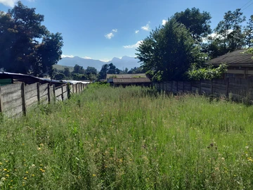 Shop & Retail Property