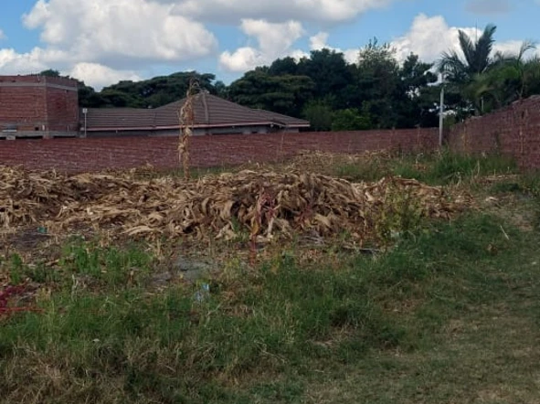 Stands & Residential Land