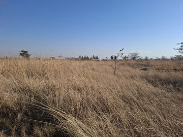 Farm & Agricultural Land
