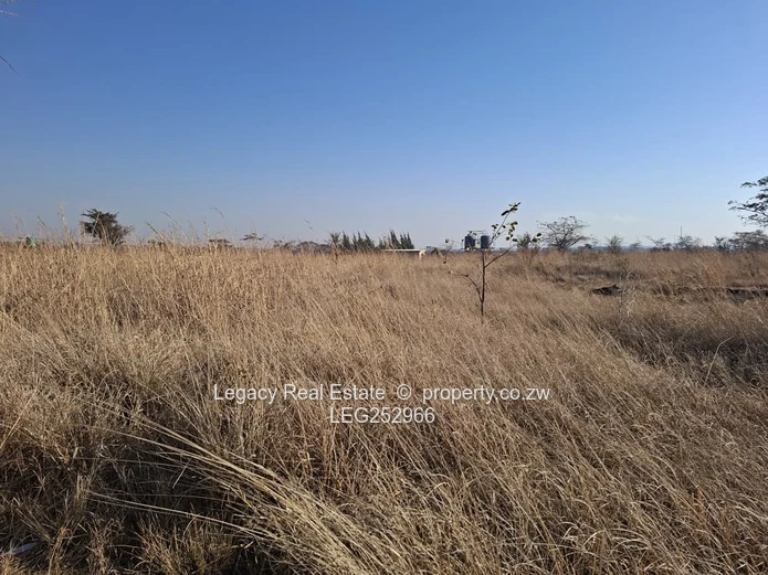 Unlock the Potential of Virgin Land in Selous,Land That Works for Your Future
