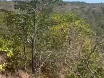 Commercial & Industrial Land