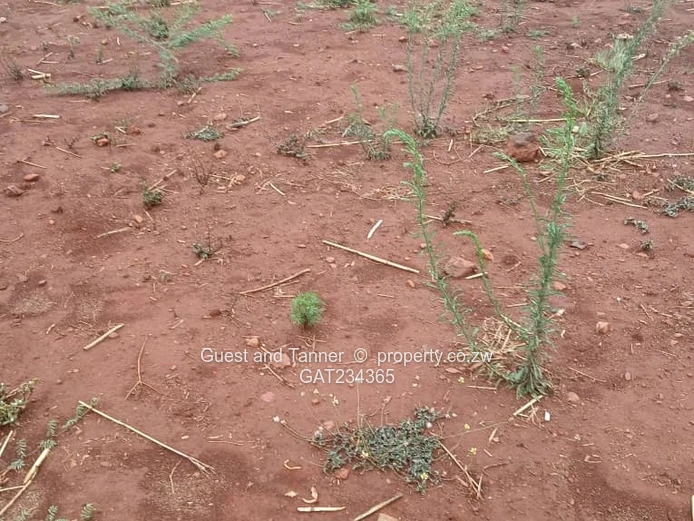 Industrial Land For Sale In Beatrice Township