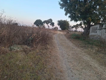 Farm & Agricultural Land