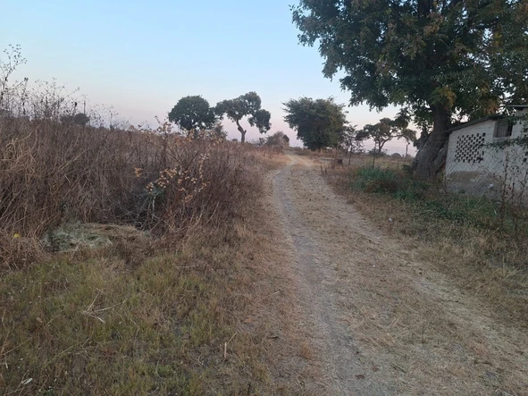 Farm & Agricultural Land