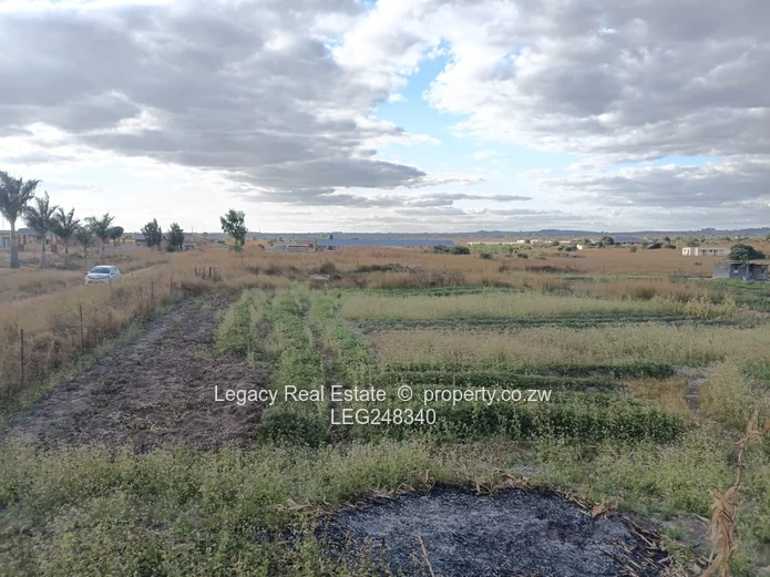 Prime 1-Hectare Plot In Rainham With Reliable Water Supply
