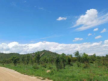 Commercial & Industrial Land